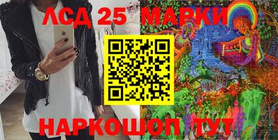 стаф Кинель