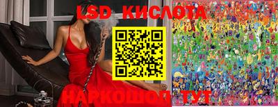 стаф Кинель