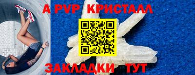 стаф Кинель