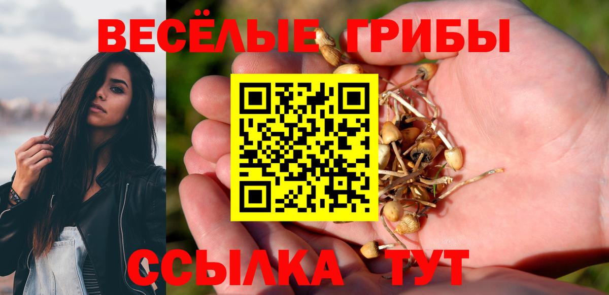 Псилоцибиновые грибы ЛСД  Вход с VPN  Псилоцибиновые грибы Psilocybine cubensis  Заинск 